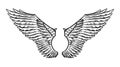 Angel wing in vintage style. Template for tattoo and emblems, t-shirts and logo. Emblem for stickers. Engraved sketch