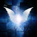 Angel Winged Abstract