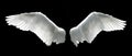 Angel wings Royalty Free Stock Photo