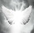 Angel wings Royalty Free Stock Photo