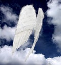 Angel wings Royalty Free Stock Photo
