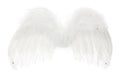 Angel Wings