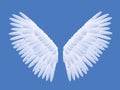 Angel Wings