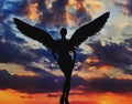 angel with wings in the amazing sky