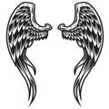 Wings Bird feather Black & White Tattoo Vector Illustration 77 Royalty Free Stock Photo