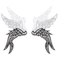 Wings Bird feather Black & White Tattoo Vector Illustration 66 Royalty Free Stock Photo