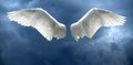 Angel wings with stormy sky background Royalty Free Stock Photo