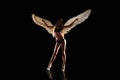 Angel with wings on black background Royalty Free Stock Photo