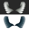 Angel wings black and white fantasy decoration design element Royalty Free Stock Photo