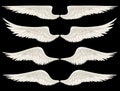 Angel Wings Royalty Free Stock Photo