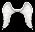 Angel Wings Royalty Free Stock Photo