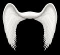 Angel Wings