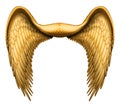 Angel Wings Royalty Free Stock Photo