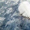 Angel wings - element of women`s costume Royalty Free Stock Photo