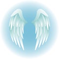 Angel Wings/eps