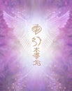 Angel Wings and Golden Reiki Symbols Royalty Free Stock Photo