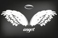 Angel wings icon sketch collection, religious calligraphic text symbol of Christianity hand drawn vector illustration Royalty Free Stock Photo