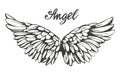 Angel wings icon sketch , religious calligraphic text symbol of Christianity hand drawn vector illustration sketch