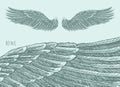 Angel Wings Illustration, Engraved sketch Vector Royalty Free Stock Photo