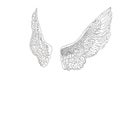 Angel wings illustration ink for logho or insertions