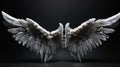 Angel wings isolated on the black background.