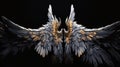 Angel wings isolated on the black background.