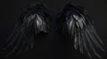 Angel wings isolated on the black background Royalty Free Stock Photo