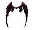 angel wings isolated. Devil, demon, Lucifer wings.