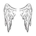 Angel wings isolated on white background hand drawn vector illustration. Black work, flash tattoo or print design