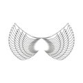 Angel Wings Isolated. White Feather wing of bird Royalty Free Stock Photo