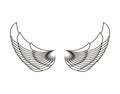 Angel Wings Isolated. White Feather wing of bird Royalty Free Stock Photo