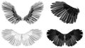 Angel wings isolated on whitebackground Royalty Free Stock Photo