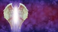 Angel Wings and Magenta Healing Light Banner