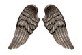 Angel wings, Natural black wing plumage isolated on white background Royalty Free Stock Photo