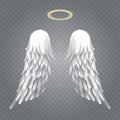 Angel wings with nimbus Royalty Free Stock Photo