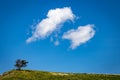 Angel wings at the Prayer Tree Royalty Free Stock Photo