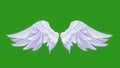 angel wings puple screen 4k video,angle wingAngel, wings video,angel wings video,angles green screen 4k video