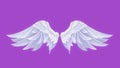 angel wings puple screen 4k video,angle wings green screen video,angel wings video,angles green screen 4k video