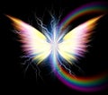 Angel wings and rainbow