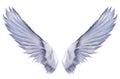 Angel Wings Seraph