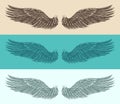 Angel wings set illustration, engraved style, hand drawn Royalty Free Stock Photo