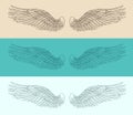 Angel wings set illustration, engraved style, hand drawn Royalty Free Stock Photo