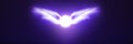 Angel wings sun in purple dark background panorama, Shiny angelic wings light with panoramic violet background Royalty Free Stock Photo