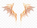 Angel wings vector illustration