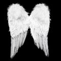 Angel wings Royalty Free Stock Photo