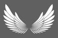 Angel wings white silhouette isolated on background design elements Royalty Free Stock Photo