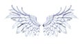Angel Wings, White Wing Plumage on White Background
