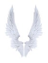 Angel wings, white wing plumage isolated on white