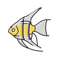 angelfish aquarium fish color icon vector illustration Royalty Free Stock Photo