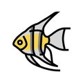 angelfish aquarium fish color icon vector illustration